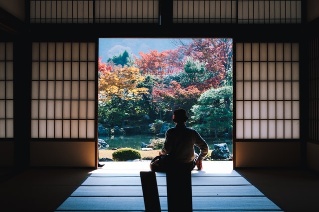 A man looking at Japanese garden